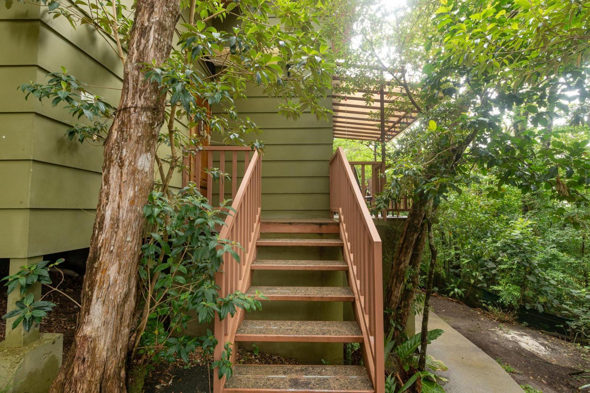 Casas Clusia Lägenhet Monteverde Exteriör bild